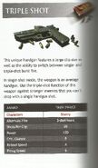 Weapon Description