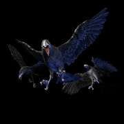 RE.NET Extra File Crow (T-Virus).jpg
