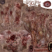 Texture