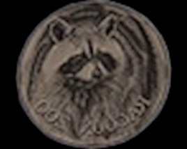 Mr-raccoon-medal