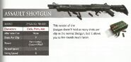 Weapon Description