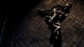 Cult's insignia 