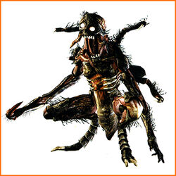 Chimera | Resident Evil Wiki | Fandom
