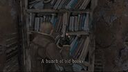 "A bunch of old books"