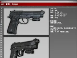 M92F (BSAA Remote Desktop file)
