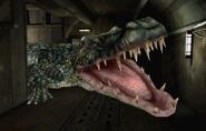 The Alligator in RE 2