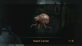 InsectLarvae.png