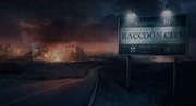 Raccoon City