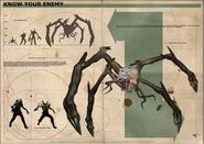 Size chart comparing a Widowmaker to the other Chimeran strains.