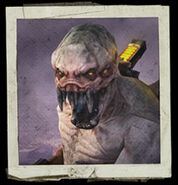Uncharted 2 - Multiplayer skin - Hybrid