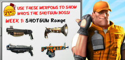 Shotguns