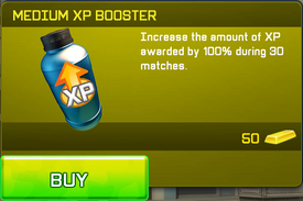 Medium XP Booster