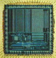 Arm-chip.jpg