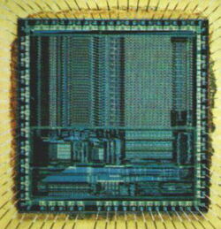 Arm-chip.jpg