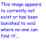 PlaceholderOrBanished.png