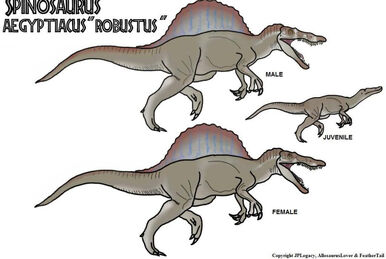 File:Deinosuchus hatcheri 052913.jpg - Wikipedia