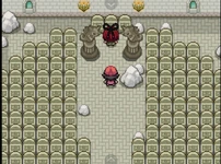 Sommet de la tour Pokémon