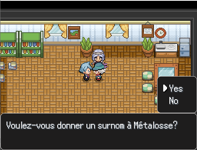 Métalosse offert par Pierre