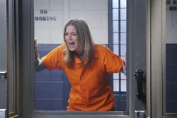 4x21 6