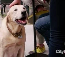 ImagesCAO0KBB9.jpg (8 KB)