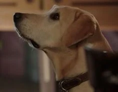 32fc63c08f4a26e513600f894294bc0f--double-infinity-sammy.jpg (5 KB)