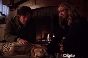 59e8cf82cd46437da61d6bafbb447c5c.jpg (158 KB)