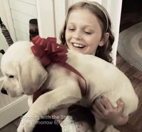 A69b025569d94caf9e13b0f6981c71f5.jpg (78 KB)