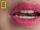 Lip Reading