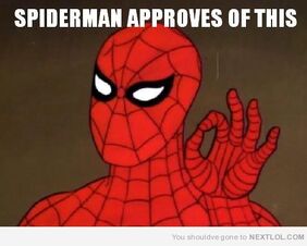 12674-spiderman-approves-of-this