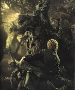 Treebeard grabs Pippin