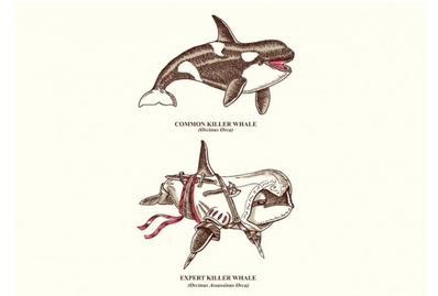 Whaleku-xlarge.png