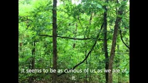 150812_Possible_Sighting_&_Interactions