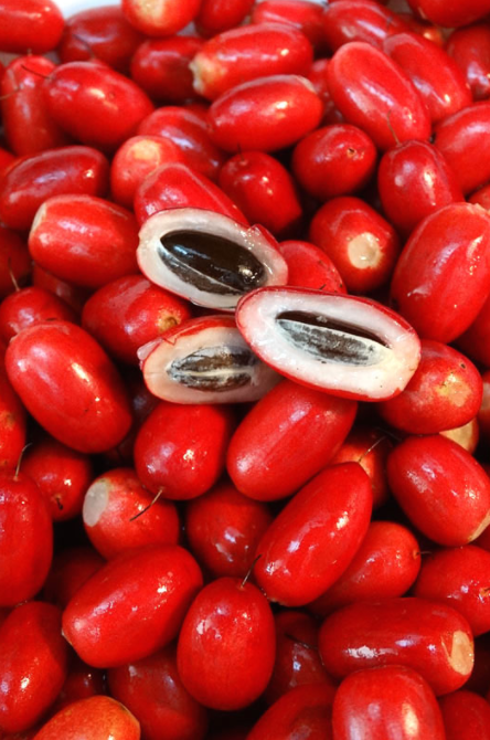 Miracle Berries The Revengerists Consortium of Stuff Wiki Fandom