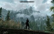 Skyrim