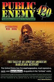 Cover of book, Public Enemy 420