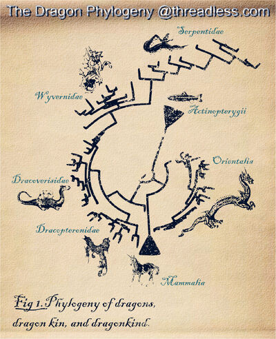 University of British Columbia evolutionary ecologist Rob Colautti's dragon phylogeny