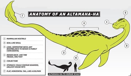 Altamahaha.jpg