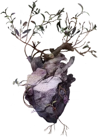 Druvis III Epiphany1