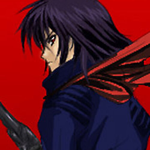 ガンダム SEED DESTINY ぬいぐるみ シン レイ ステラ デストロイ