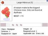 Large Hibiscus