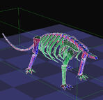 Lesser known headless apatosaur, - before we stripped the polys down to within an inch of its life