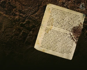 Aaron's Journal Entry