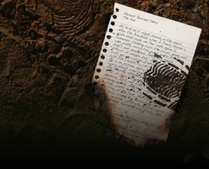 120-aarons-journal-bg.jpg (599 KB) Aaron's Journal: The End