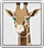 Giraffe (icon).png