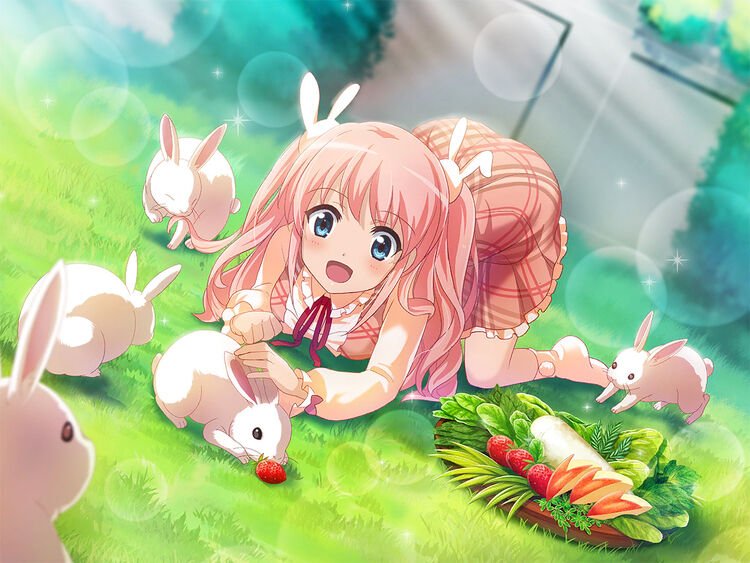 Bunnies Everywhere!