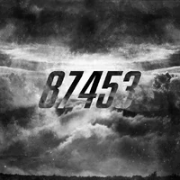 S87453