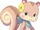 Pooka