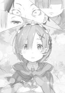 Re Zero Light Novel 25 13