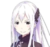 Echidna