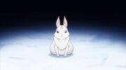 Re-Zero-kara-Hajimeru-Isekai-Seikatsu-33-1